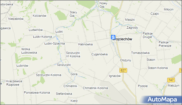 mapa Cyganówka gmina Wojciechów, Cyganówka gmina Wojciechów na mapie Targeo