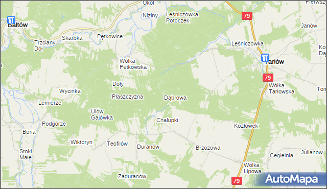 mapa Dąbrowa gmina Tarłów, Dąbrowa gmina Tarłów na mapie Targeo
