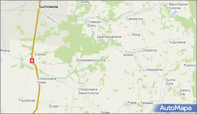 mapa Dubasiewskie Kolonie, Dubasiewskie Kolonie na mapie Targeo