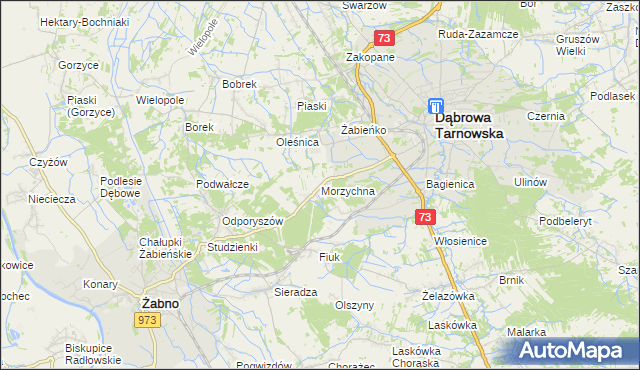 mapa Morzychna, Morzychna na mapie Targeo