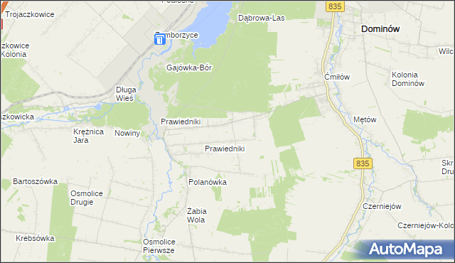 mapa Prawiedniki-Kolonia, Prawiedniki-Kolonia na mapie Targeo