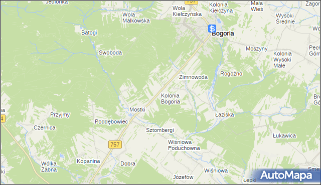 mapa Kolonia Bogoria, Kolonia Bogoria na mapie Targeo