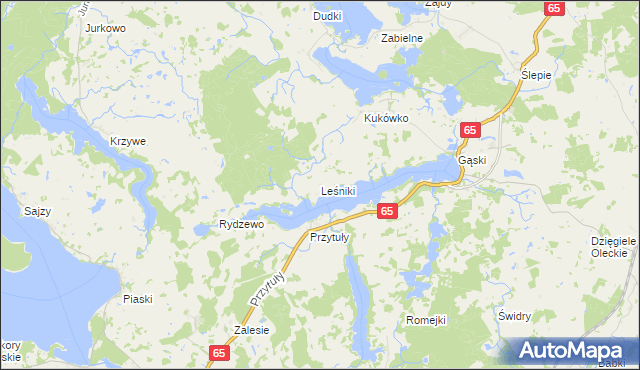 mapa Leśniki gmina Świętajno, Leśniki gmina Świętajno na mapie Targeo