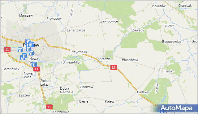 mapa Brzezie gmina Pleszew, Brzezie gmina Pleszew na mapie Targeo