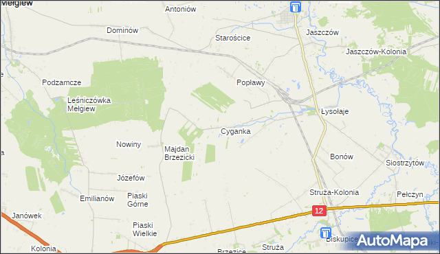 mapa Cyganka gmina Milejów, Cyganka gmina Milejów na mapie Targeo