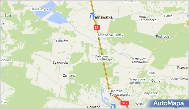 mapa Dąbrowa Tarnawacka, Dąbrowa Tarnawacka na mapie Targeo