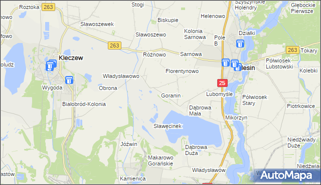 mapa Goranin gmina Ślesin, Goranin gmina Ślesin na mapie Targeo