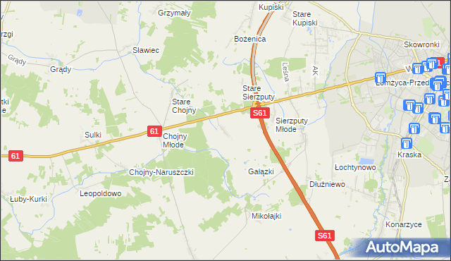 mapa Grzymały Szczepankowskie, Grzymały Szczepankowskie na mapie Targeo