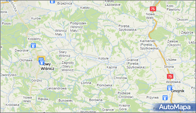 mapa Kobyle gmina Nowy Wiśnicz, Kobyle gmina Nowy Wiśnicz na mapie Targeo