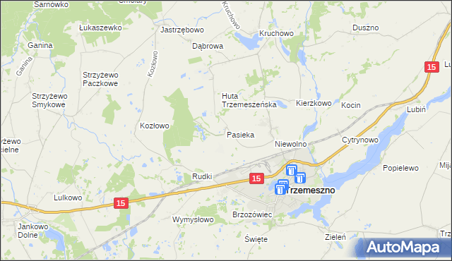 mapa Pasieka gmina Trzemeszno, Pasieka gmina Trzemeszno na mapie Targeo