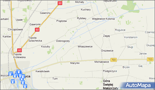 mapa Witaszewice, Witaszewice na mapie Targeo