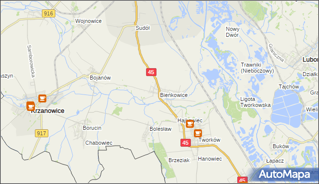 mapa Bieńkowice gmina Krzyżanowice, Bieńkowice gmina Krzyżanowice na mapie Targeo