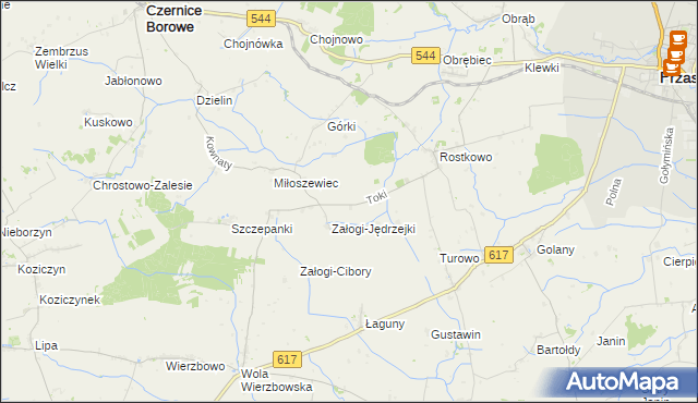mapa Toki gmina Czernice Borowe, Toki gmina Czernice Borowe na mapie Targeo