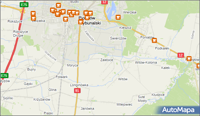 mapa Zalesice gmina Sulejów, Zalesice gmina Sulejów na mapie Targeo
