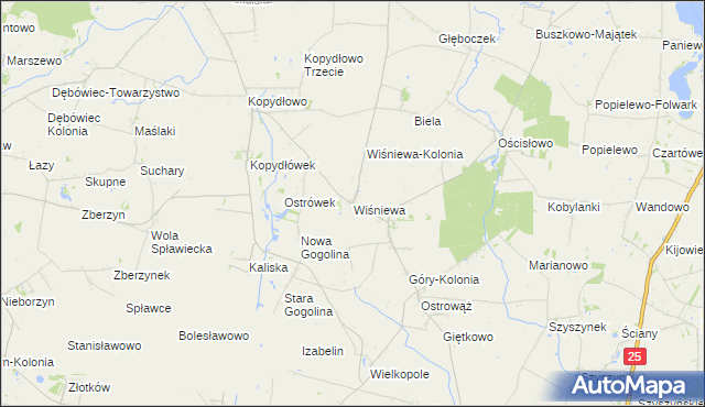 mapa Wiśniewa gmina Wilczyn, Wiśniewa gmina Wilczyn na mapie Targeo