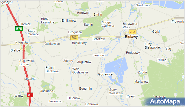 mapa Janinów gmina Bielawy, Janinów gmina Bielawy na mapie Targeo