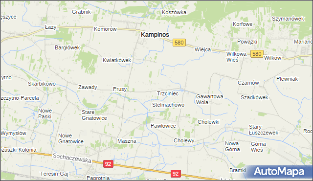 mapa Trzciniec gmina Leszno, Trzciniec gmina Leszno na mapie Targeo