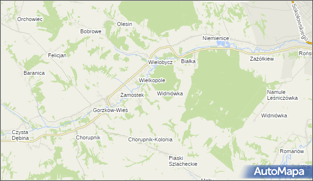 mapa Widniówka gmina Gorzków, Widniówka gmina Gorzków na mapie Targeo