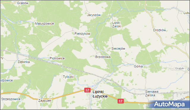 mapa Brzostowa, Brzostowa na mapie Targeo