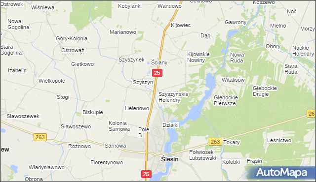 mapa Szyszyńskie Holendry, Szyszyńskie Holendry na mapie Targeo