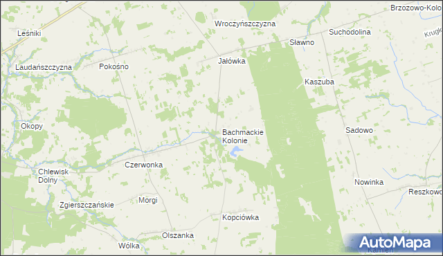 mapa Bachmackie Kolonie, Bachmackie Kolonie na mapie Targeo