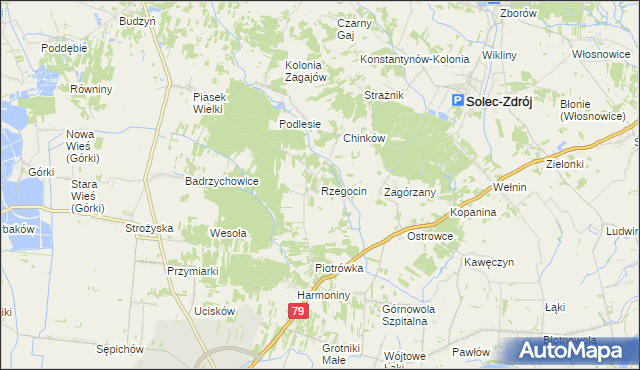 mapa Rzegocin gmina Nowy Korczyn, Rzegocin gmina Nowy Korczyn na mapie Targeo