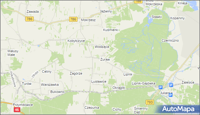 mapa Żuraw gmina Janów, Żuraw gmina Janów na mapie Targeo