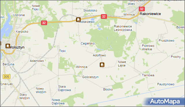 mapa Adolfowo gmina Rakoniewice, Adolfowo gmina Rakoniewice na mapie Targeo