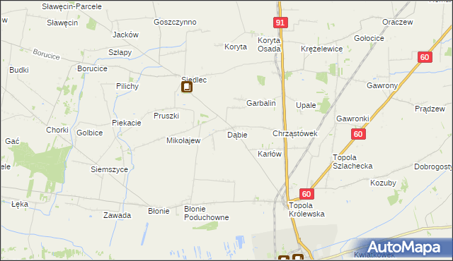 mapa Dąbie gmina Łęczyca, Dąbie gmina Łęczyca na mapie Targeo