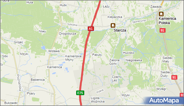 mapa Pakuły gmina Woźniki, Pakuły gmina Woźniki na mapie Targeo
