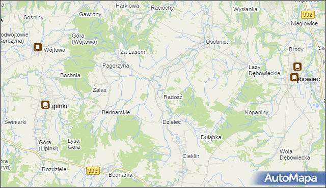 mapa Radość gmina Dębowiec, Radość gmina Dębowiec na mapie Targeo