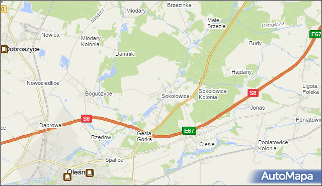 mapa Sokołowice gmina Oleśnica, Sokołowice gmina Oleśnica na mapie Targeo