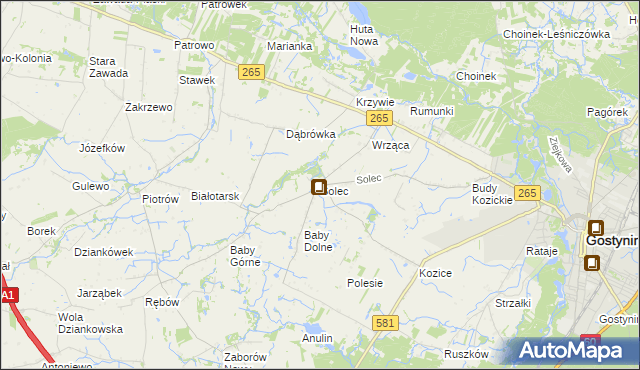 mapa Solec gmina Gostynin, Solec gmina Gostynin na mapie Targeo