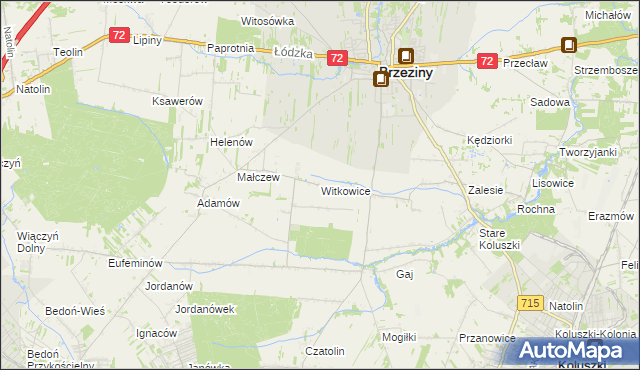 mapa Witkowice gmina Brzeziny, Witkowice gmina Brzeziny na mapie Targeo
