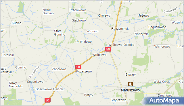 mapa Wróblewo gmina Naruszewo, Wróblewo gmina Naruszewo na mapie Targeo