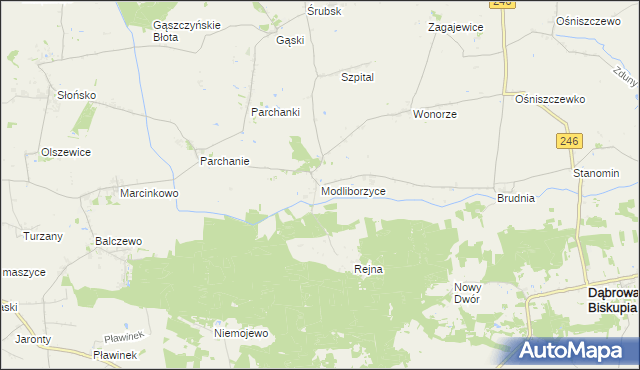 mapa Modliborzyce gmina Dąbrowa Biskupia, Modliborzyce gmina Dąbrowa Biskupia na mapie Targeo