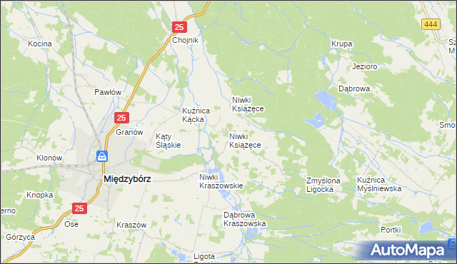 mapa Niwki Książęce gmina Międzybórz, Niwki Książęce gmina Międzybórz na mapie Targeo