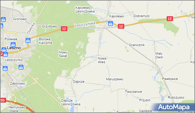 mapa Nowa Wieś gmina Rydzyna, Nowa Wieś gmina Rydzyna na mapie Targeo
