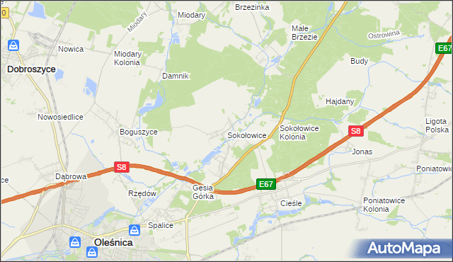 mapa Sokołowice gmina Oleśnica, Sokołowice gmina Oleśnica na mapie Targeo