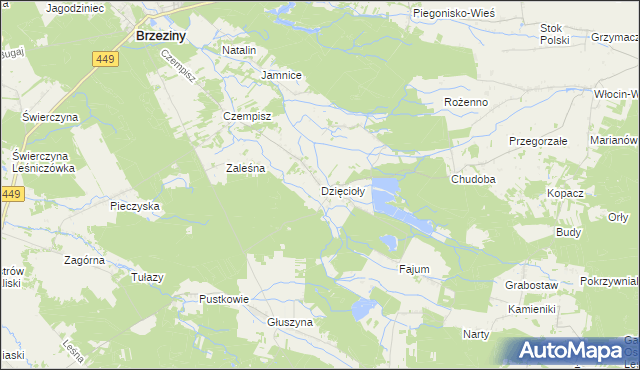 mapa Dzięcioły gmina Brzeziny, Dzięcioły gmina Brzeziny na mapie Targeo