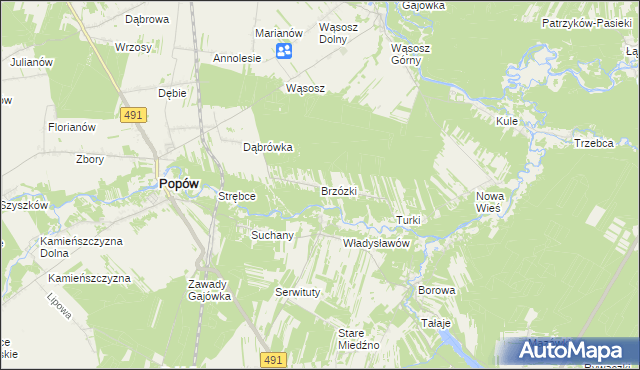mapa Brzózki gmina Popów, Brzózki gmina Popów na mapie Targeo