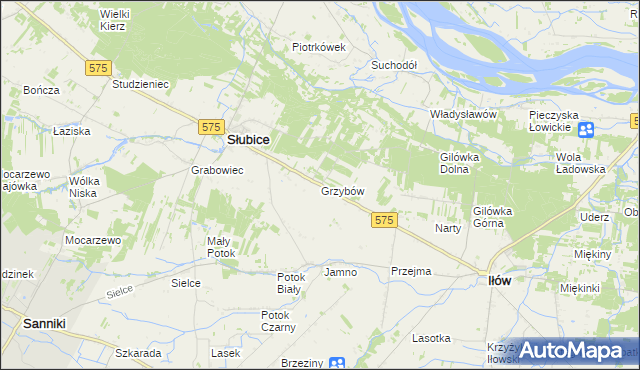 mapa Grzybów gmina Słubice, Grzybów gmina Słubice na mapie Targeo