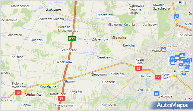 mapa Cerekiew gmina Zakrzew, Cerekiew gmina Zakrzew na mapie Targeo