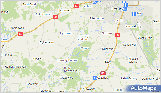 mapa Gołoty gmina Ciechanów, Gołoty gmina Ciechanów na mapie Targeo