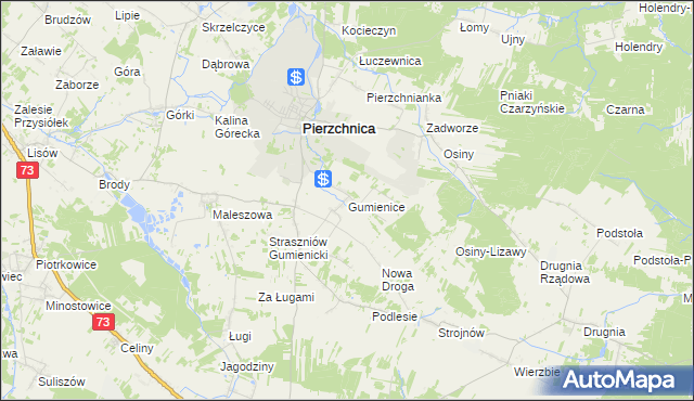 mapa Gumienice gmina Pierzchnica, Gumienice gmina Pierzchnica na mapie Targeo