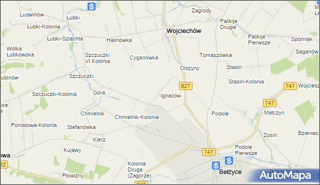 mapa Ignaców gmina Wojciechów, Ignaców gmina Wojciechów na mapie Targeo