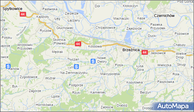 mapa Nowe Dwory gmina Brzeźnica, Nowe Dwory gmina Brzeźnica na mapie Targeo