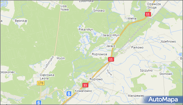 mapa Rożnowice gmina Rogoźno, Rożnowice gmina Rogoźno na mapie Targeo