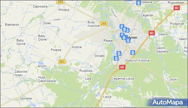 mapa Strzałki gmina Gostynin, Strzałki gmina Gostynin na mapie Targeo