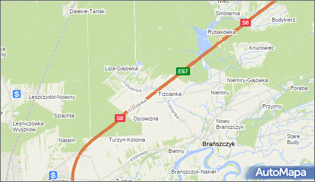 mapa Trzcianka gmina Brańszczyk, Trzcianka gmina Brańszczyk na mapie Targeo
